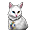 Белая ангорская кошка
